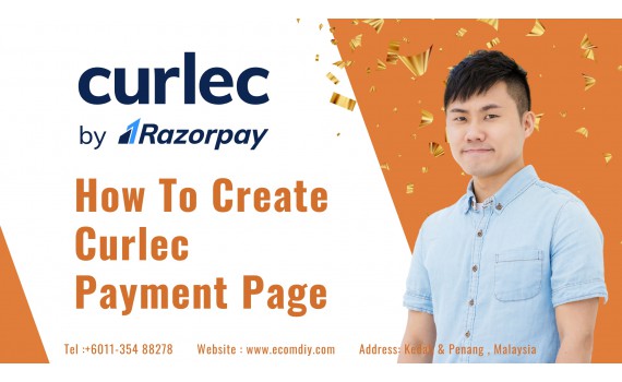 How to add Curlec Payment Page