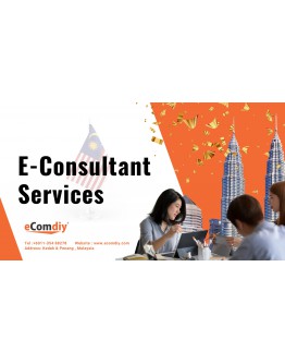 eConsultant Services Basic