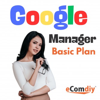 Google Ads Manager Basic Plan