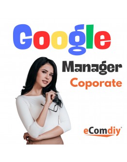 Google Ads Manager Coporate Plan