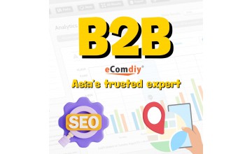 Are You Looking for SEO for B2B?