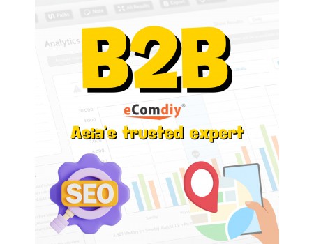 Are You Looking for SEO for B2B?